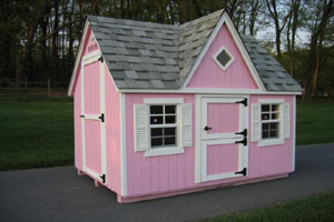 The Dollhouse The Dollhouse