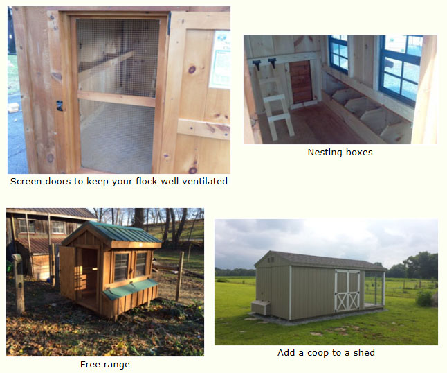 Chicken Coops Animal Shelters