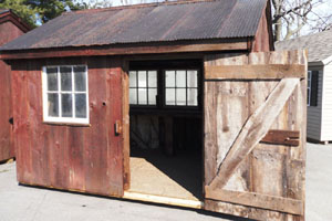 The Primitive Shed